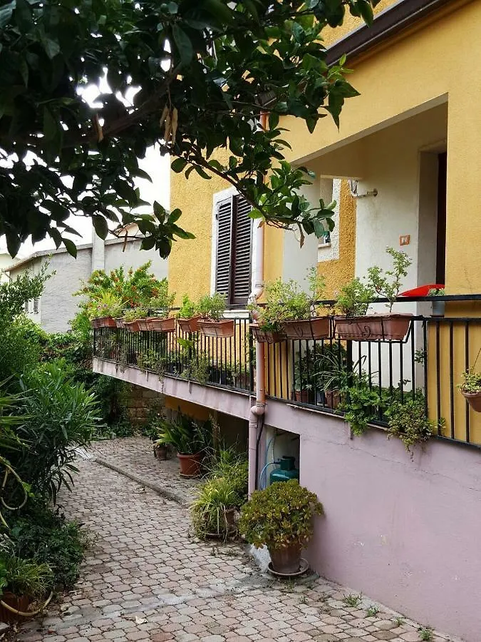 B&B Sara location